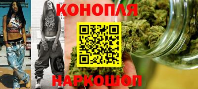 индика Можга