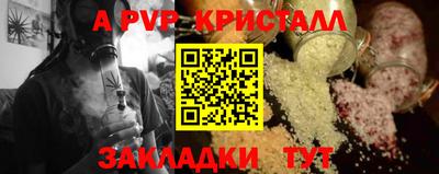 индика Можга