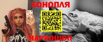 индика Можга