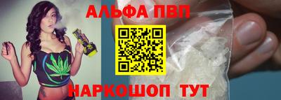 индика Можга